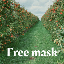 Load image into Gallery viewer, $0 Single Mask

