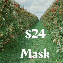 Load image into Gallery viewer, $24 Single Mask + Donation
